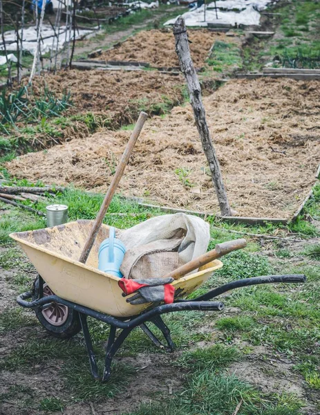 A vertical shot of a wheelbarrow with tools at the park