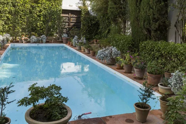 Piscina Água Azul Turquesa Rodeada Por Vasos Com Plantas — Fotografia de Stock