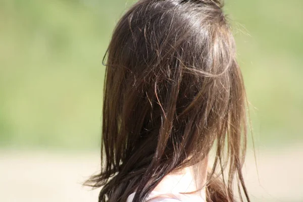 Selective Focus Shot Female Brunette Hair — Stock Photo, Image
