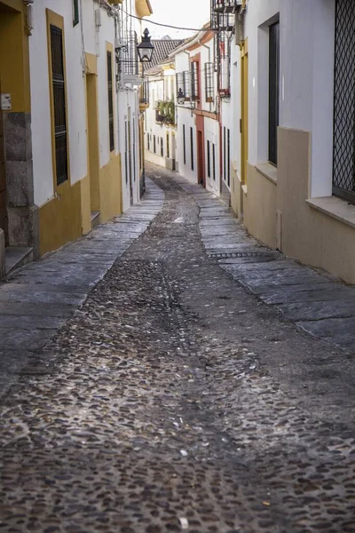 Rua Com Fachadas Brancas Amarelas Cidade Córdoba — Fotografia de Stock