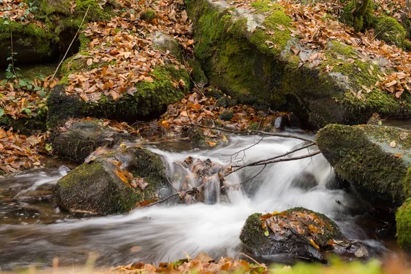 Ruscello Che Scorre Tra Pietre Foglie Secche Perfetto Sfondo — Foto Stock