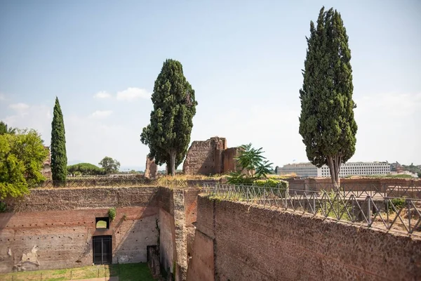 Las Ruinas Del Museo Palatino Colina Palatina Roma Italia —  Fotos de Stock