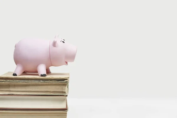 A stack of old books with a piggy bank on top. Cost of education. saving money for college, education money concept, with space for text