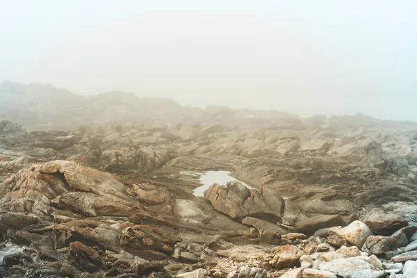 Amazing Foggy Day Galicia Stock Picture