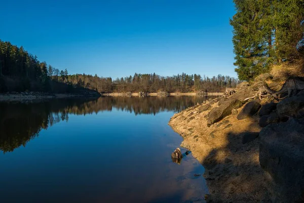 Beautiful Scene Lake Forest Reflecting Lake Surface — Stock Photo, Image