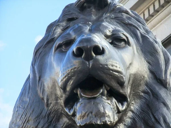 Nízkoúhlý Detailní Záběr Sochy Lva Trafalgar Square Westminster Central London — Stock fotografie