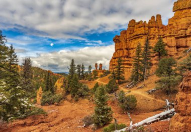 A beautiful daytime view of the Red Canyon in the Dixie National Forest, Utah, USA clipart