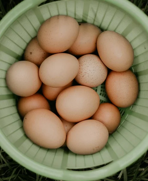 Vertical Overhead Shot Eggs Green Bowl Grass — Stock Photo, Image
