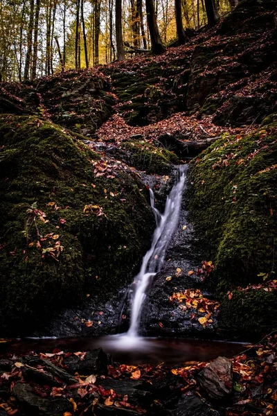 Tiro Vertical Uma Pequena Cachoeira Uma Floresta Outonal — Fotografia de Stock