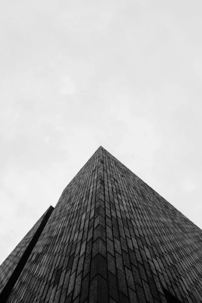 Vertikální Snímek Budovy Pod Zataženou Oblohou Stupních Šedi — Stock fotografie