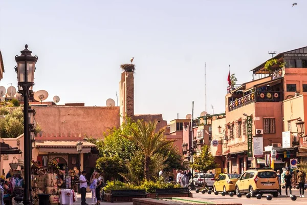 Güneşli Bir Günde Güzel Bir Tropik Şehir Manzarası Palmiye Ağaçları — Stok fotoğraf