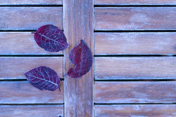Górny Wgląd Zbliżenie Strzał Purplish Czerwona Jesień Listowie Dachówce Drewniana — Zdjęcie stockowe