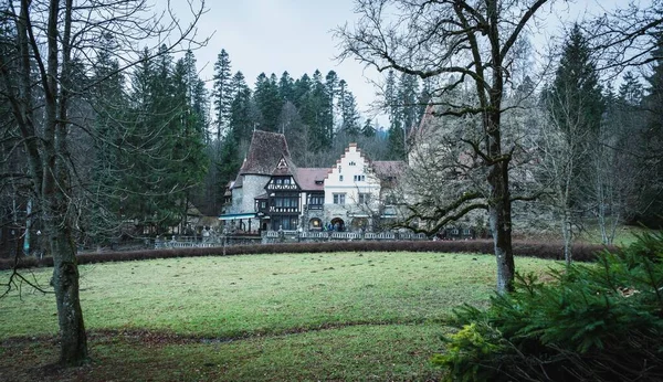 Retrato Paisagem Uma Residência Histórica Atrás Floresta Cênica — Fotografia de Stock