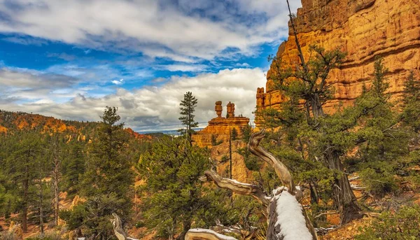 Uma Bela Vista Diurna Canhão Vermelho Floresta Nacional Dixie Utah — Fotografia de Stock