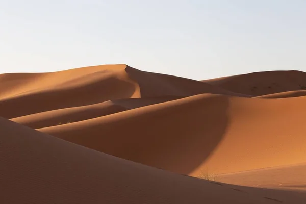 阳光普照的沙漠地区 美丽的沙丘风景 — 图库照片
