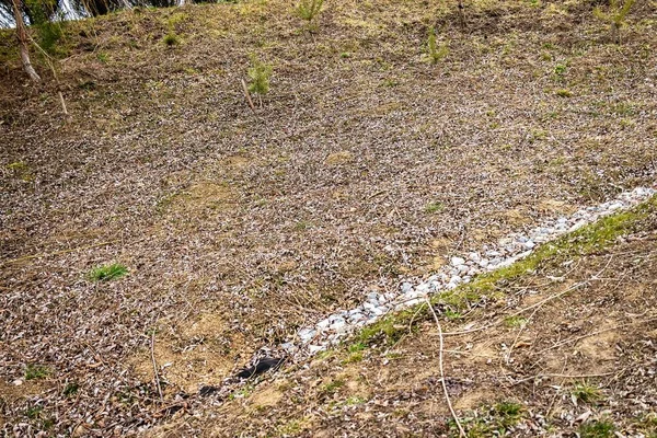Widok Trawnika Białymi Oznaczeniami — Zdjęcie stockowe
