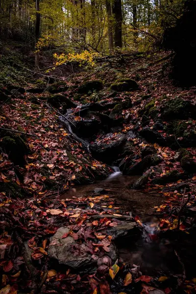 Sonbahar Ormanındaki Küçük Bir Şelalenin Dikey Görüntüsü — Stok fotoğraf