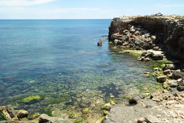 西班牙Torrevieja Los Locos海滩水中的苔藓群 — 图库照片