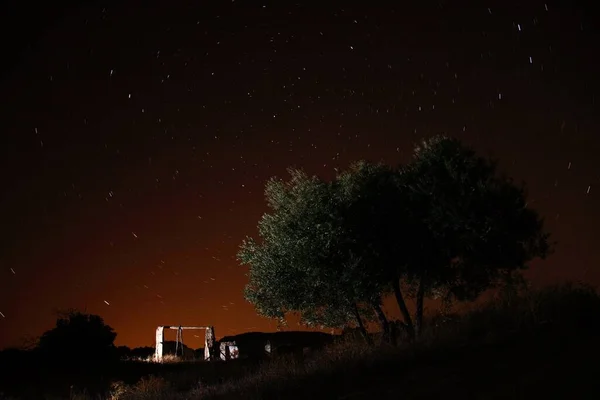 スペインの田舎で夜に長い露出を持つ星空の下での木 背景に最適です — ストック写真