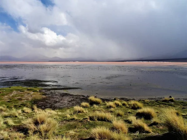Спокойное Озеро Пляж Выжженной Травой Облачным Небом — стоковое фото