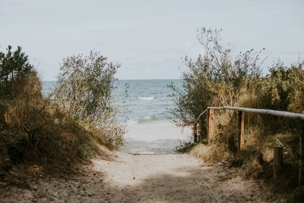 Прекрасний Вид Прогулянку Пляжу Через Зелену — стокове фото