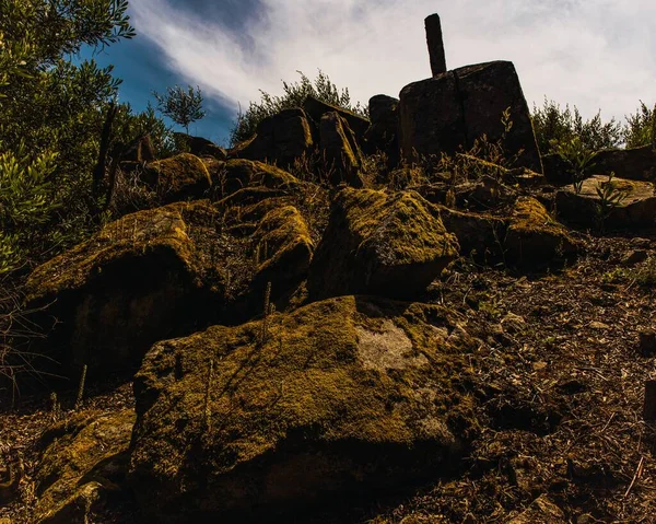 Gros Plan Gros Rochers Entourés Arbres Herbe — Photo