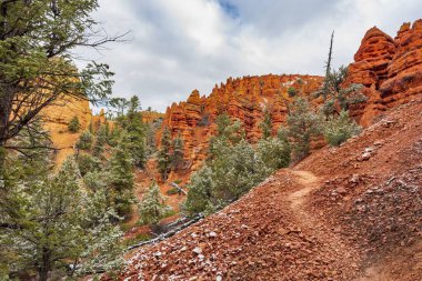 The trees and the red sandy rocks at the Red Canyon in the Dixie National Forest, Utah, USA clipart