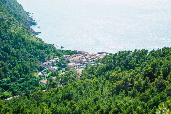 Wysoki Kąt Widzenia Lasu Otaczającego Wioskę Mallorca — Zdjęcie stockowe