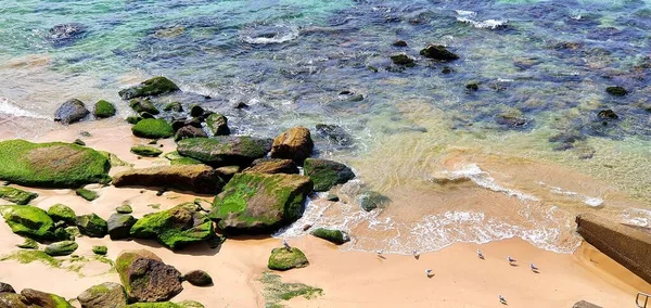 Tiro Panorâmico Uma Praia Perto Mar Sob Céu Azul Nublado — Fotografia de Stock