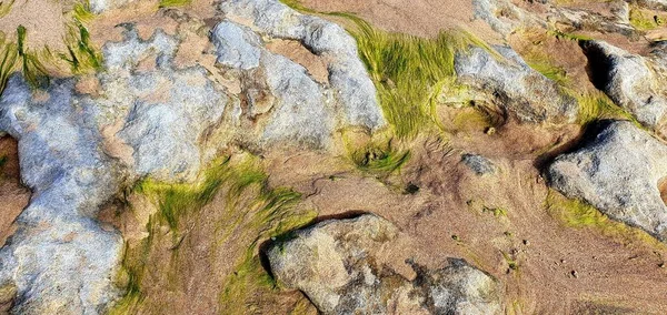 Plan Panoramique Pierres Recouvertes Mousse Sur Une Plage Sable — Photo