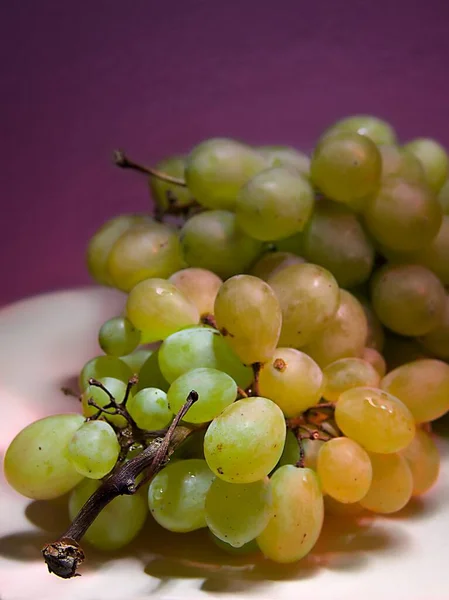 Een Close Shot Van Een Tak Van Witte Heerlijke Druiven — Stockfoto