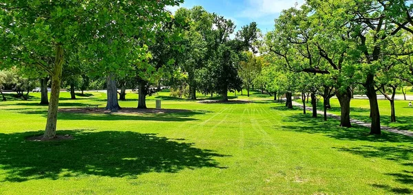 Panoramatický Záběr Zahrady Rostoucími Stromy Pod Modrou Oblohou — Stock fotografie