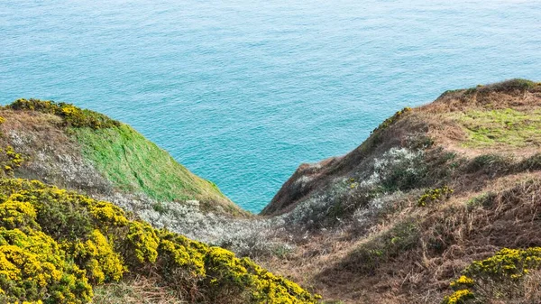 Een Betoverende Landschap Opname Van Een Kustlijn Bedekt Met Gele — Stockfoto