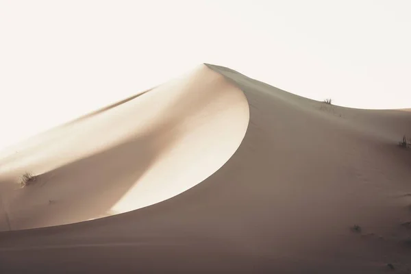 Uno Splendido Scenario Dune Sabbia Una Zona Desertica Una Giornata — Foto Stock