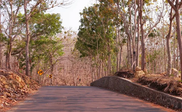 Uma Estrada Asfalto Estreita Com Floresta Nos Dois Lados — Fotografia de Stock