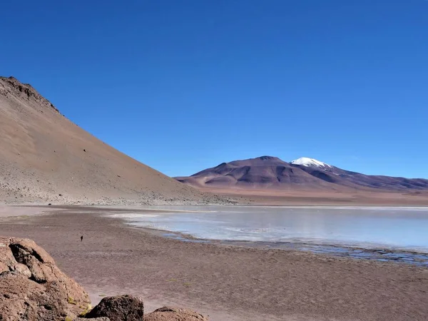 Чудовий Знімок Плато Альтіплано Болівії — стокове фото