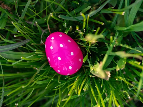 Primer Plano Coloridos Huevos Pascua Esparcidos Hierba Verde — Foto de Stock