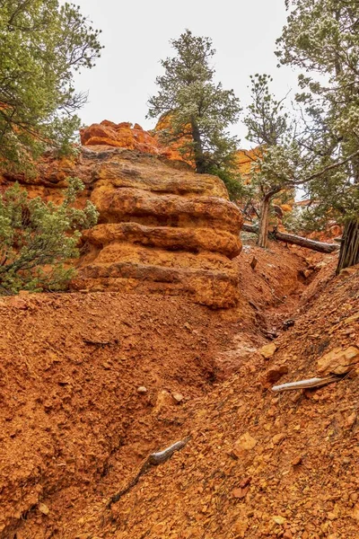Vertical Shot Red Sandy Rocks Red Canyon Dixie National Forest — Stock Photo, Image