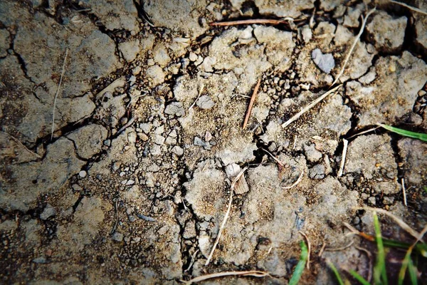 Primer Plano Del Suelo Agrietado Aire Libre Con Pequeñas Piedras —  Fotos de Stock