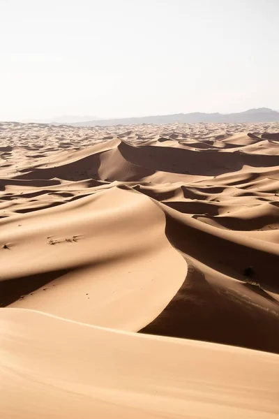 Beautiful Scenery Sand Dunes Desert Area Sunny Day — Stock Photo, Image