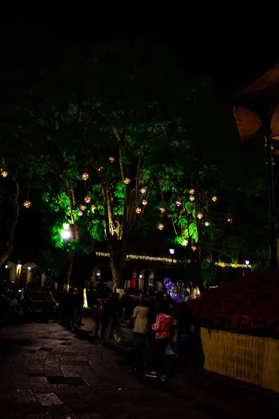 Morelia México Diciembre 2019 Decoraciones Navideñas Morelia México Luces Navidad —  Fotos de Stock