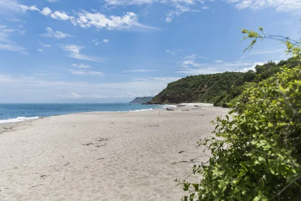 Una Hermosa Vista Una Playa Arena Vacía Rodeada Vegetación — Foto de Stock