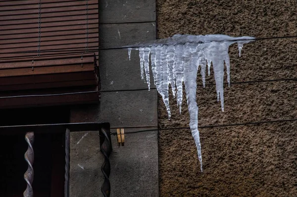 Ένα Κοντινό Πλάνο Ενός Παγόβουνου Ένα Καλώδιο — Φωτογραφία Αρχείου