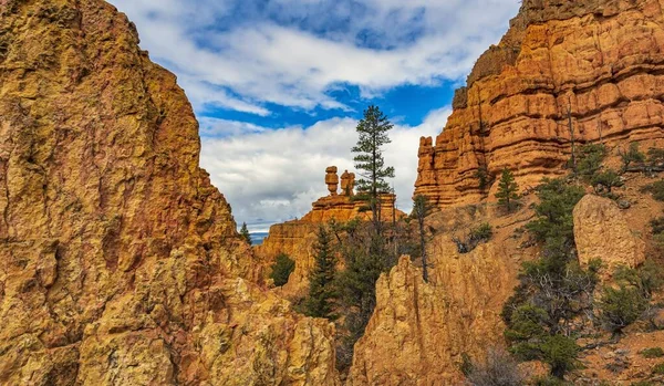 Gyönyörű Kilátás Vörös Kanyonra Dixie Nemzeti Erdőben Utah Usa — Stock Fotó