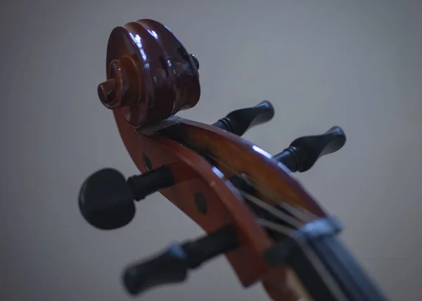 Een Selectieve Focusopname Van Pegbox Van Een Cello Met Een — Stockfoto