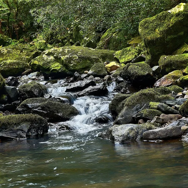 一条有瀑布般的水和苔藓般的岩石的岩石河景 — 图库照片