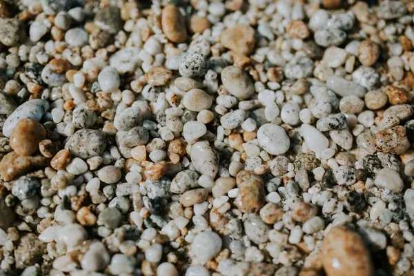 Closeup Shot Wet Beach Pebbles Stony Coast — Stock Photo, Image