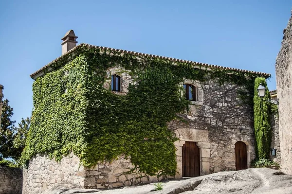 Une Belle Façade Bâtiment Couverte Feuilles Vertes Capturées Espagne — Photo