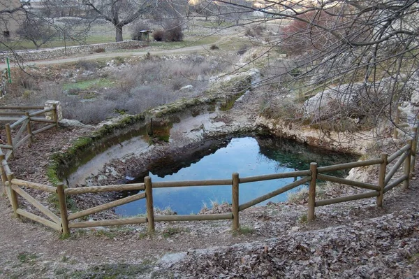 Een Prachtig Landschap Van Natuurlijke Vijver Midden Natuur — Stockfoto