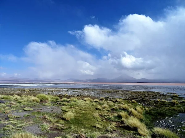 玻利维亚洛斯弗拉门科斯国家保护区的高山和盐湖在乌云密布的天空下闪闪发光 — 图库照片